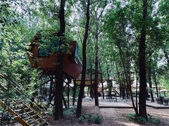 -林栖谷森林康养度假区