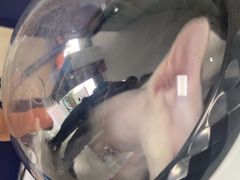 -瑞派福兴宠物医院犬猫全科·骨科·中西医结合(河东店)