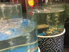 水产区-蓬川食府(金海道店)