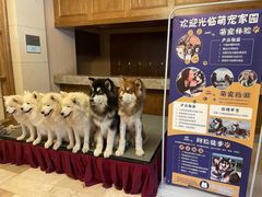 -长白山万达喜来登度假酒店