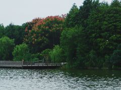 -石湖景区
