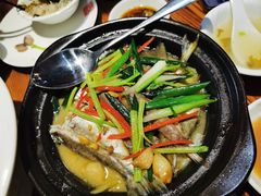-百年银屏蚝烙·潮汕菜·非遗(乐山店)