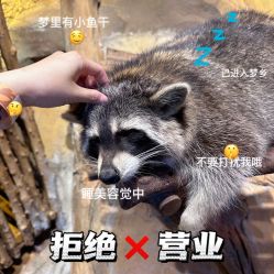 -奇幻萌宠部落(映月湖环宇城店)