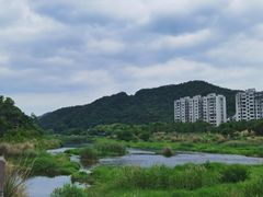 -蒋氏故居