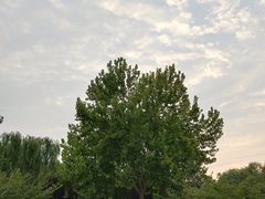 -石家庄市植物园