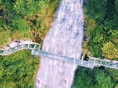 -九龙江国家森林公园