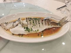 -大方圆酒楼(西门大街店)