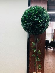 点击看大图 -尚丹尼造型