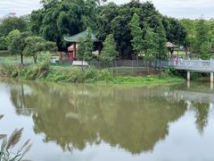 -王借岗森林公园