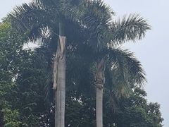 -广州市白云山风景名胜区