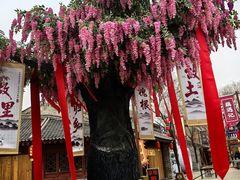 -大槐树寻根祭祖园