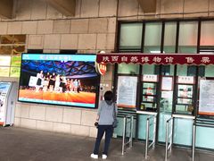 -陕西自然博物馆