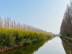 -黄海国家森林公园