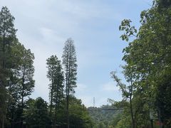 -天花井景区