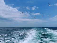 -海驴岛(荣成市)