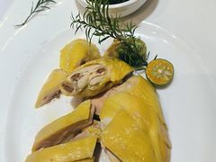 白切竹林鸡-丰收日(五角场店)