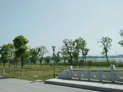 -南湖湿地公园