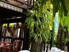 -自然餐厅(Phuket)