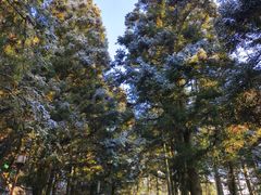 -南岳衡山风景名胜区