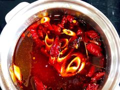 分餐微辣锅-蒙星月涮肚火锅城(宏运家园店)