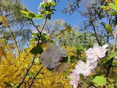 -济南国际园博园