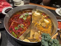 -滇牛云南火锅(桂林路店)