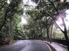 -南国桃园旅游度假区