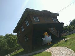 -金山农民画村-枫泾波兰倒置屋