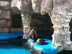 -华夏文旅海洋公园