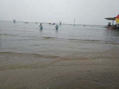 -碧海金沙