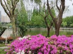 -黄兴公园