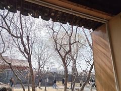 -春风习习