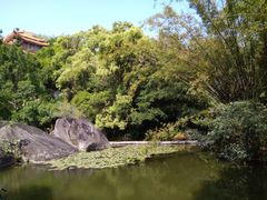-厦门植物园