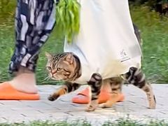 -青水瓦台汤泉(未央店)