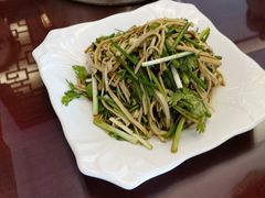 -草包包子铺1937(普利街店)
