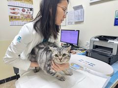 -美联众合动物医院·24h转诊中心
