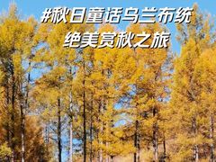 -乌兰布统草原