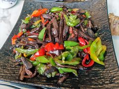 -蘑统田下·野生菌火锅