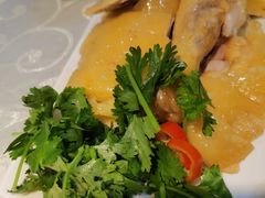 -茂港柏香(侨港路店)