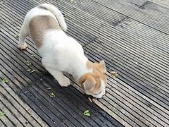 -亮河湾山庄