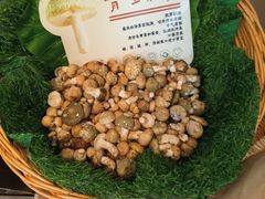 -福照楼汽锅鸡·云南菜(护国路店)