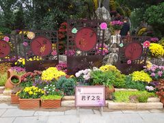 -莲湖公园