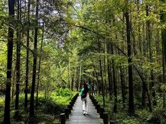 -桤木河湿地公园