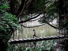 -燕晗山郊野公园