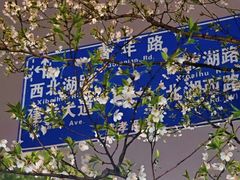 -西北湖绿化广场