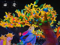 -西安城墙·碑林历史文化景区