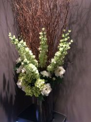 -史云逊养发护发