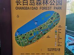 -长白岛森林公园