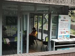 -陈家山荷花公园