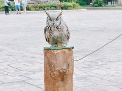 -清迈夜间动物园